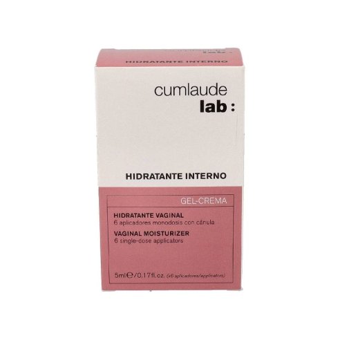 GYNELAUDE HIDRATANTE INTERNO 6 ML X 6 UN